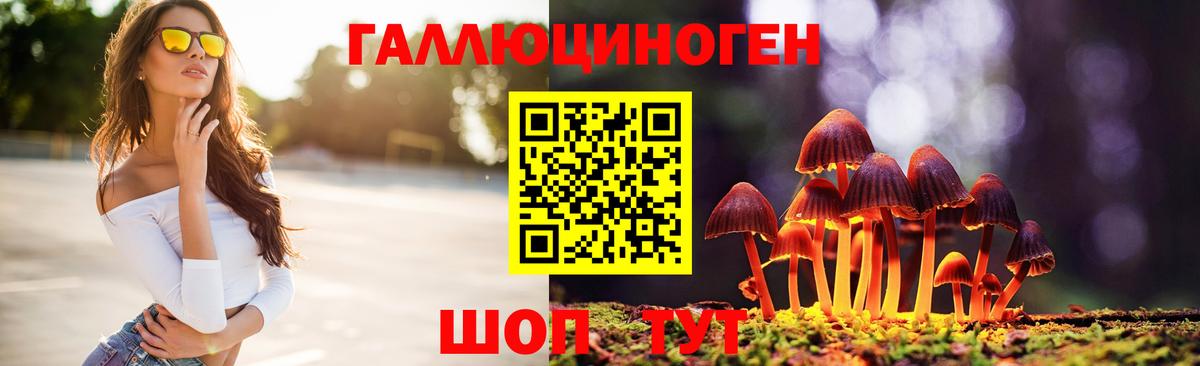 Псилоцибиновые грибы мицелий  где продают наркотики  Сафоново  Вход с VPN  Псилоцибиновые грибы MAGIC MUSHROOMS 